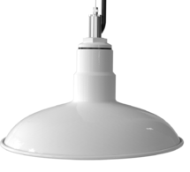 FORTE™ PENDANT