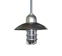 MAXXIMUS™ PENDANT