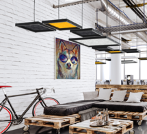 LUNA QUDO™ ACOUSTIC 